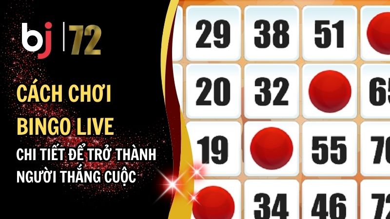 Cách Chơi Bingo Live - Chi Tiết Để Trở Thành Người Thắng Cuộc