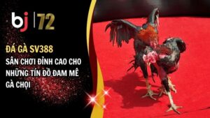 Đá gà SV388